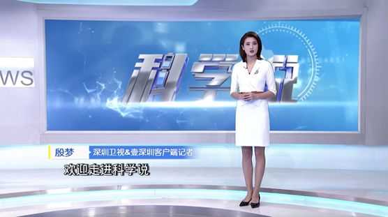 深圳卫视记者程茜图片图片