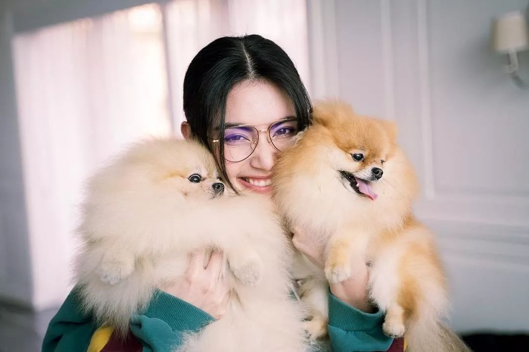 Dogs 一点物 二着 KOHH 最短当日出荷 bharatbasket.com