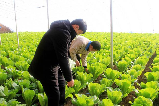 前郭看紧百姓的"菜篮子""米袋子"