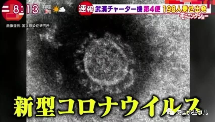 新冠影响下游客大减的日本 就连奈良鹿 日子都不好过啊 奈良 奈良