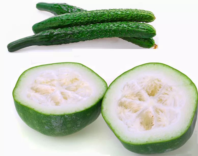 冬瓜,黄瓜中的膳食纤维,有助于润肠通便和肠道有益菌生长.