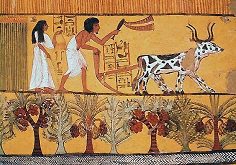 古埃及女性:曾拥有世界上最高的女性地位?