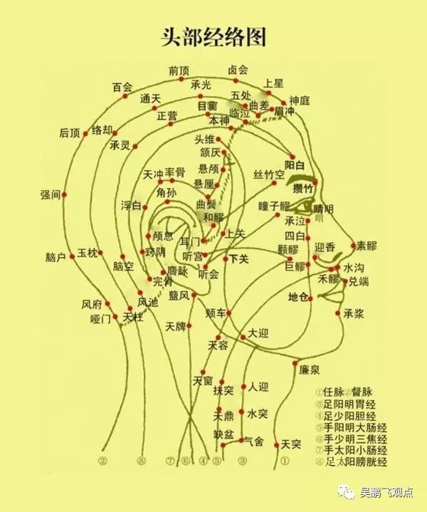 人体头部经络图我知道,这个发明要成为一种普遍通用的医疗技术,还需要