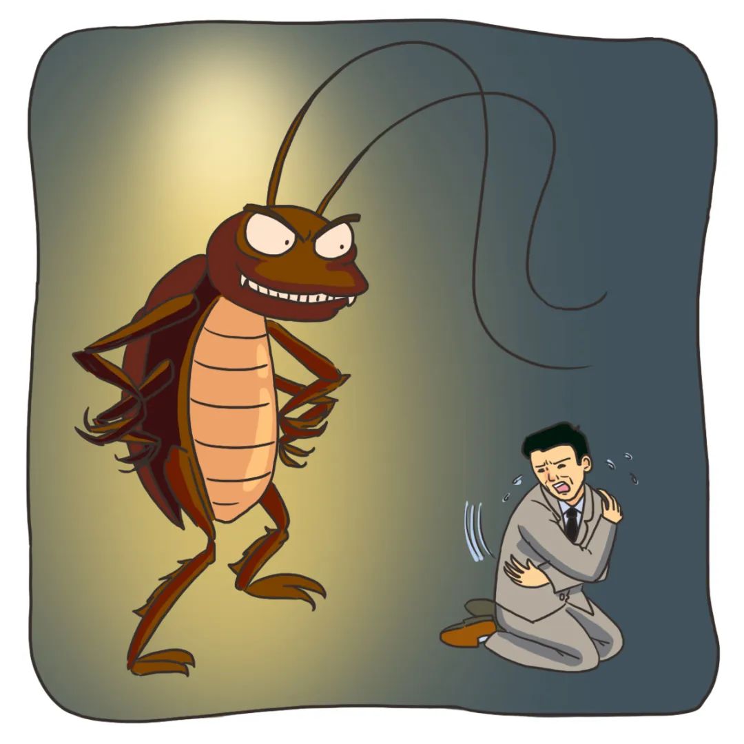 忽略了这个卫生死角,怎么打扫消毒都白费|蟑螂|小强|蠊_新浪新闻