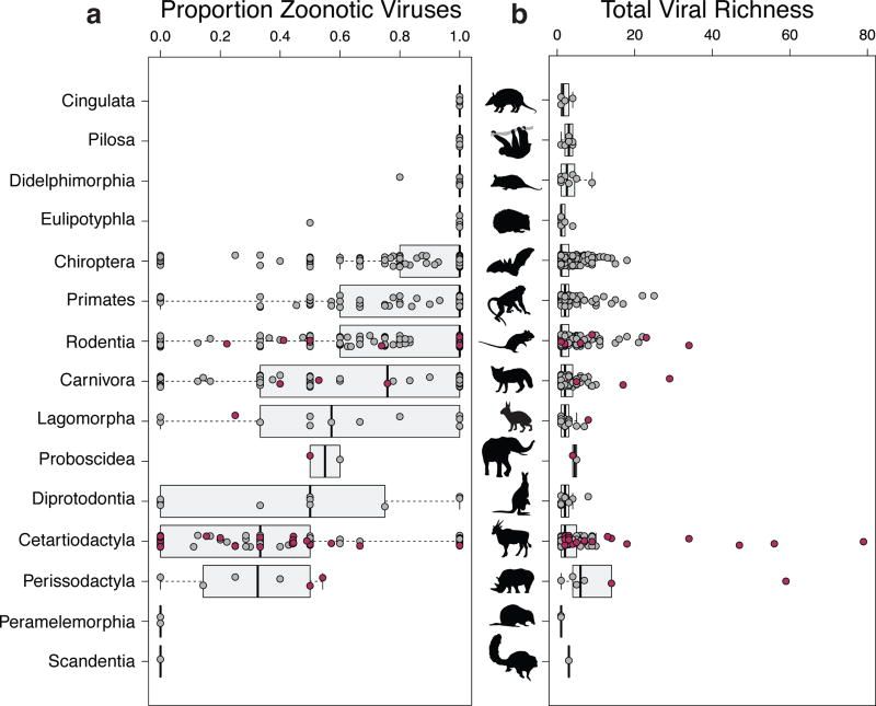  图|观察到的哺乳动物病毒丰富度：a，人畜共患病毒的比例；b，每个物种的总病毒丰富度，灰色为野生，红色为家养（来源：Nature）