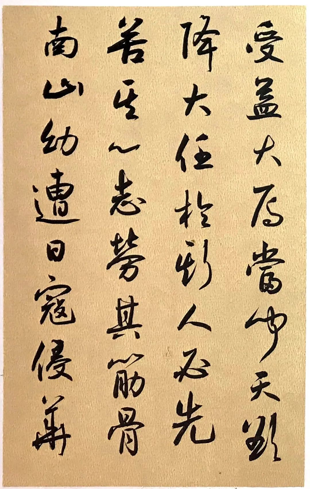 《史记 · 钟南山传》书法册页欣赏