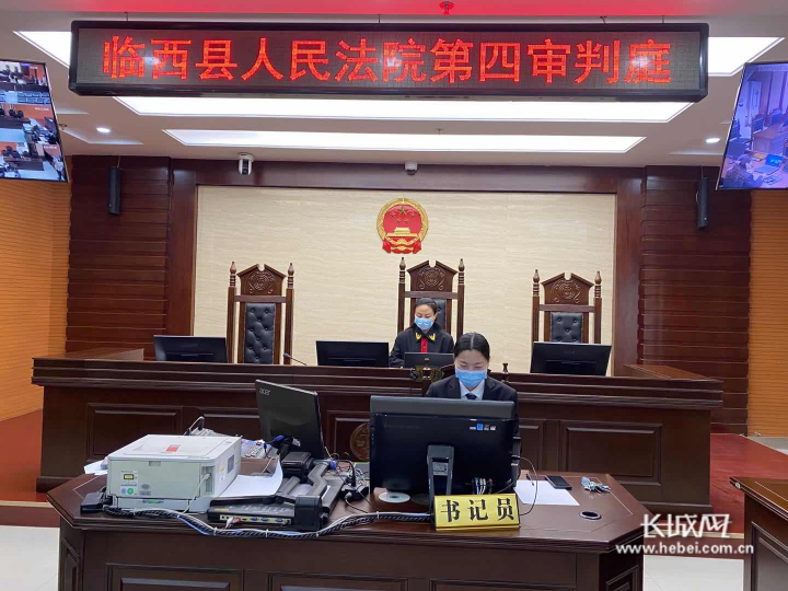 临西法院的玉兰花撑起抗疫的半边天