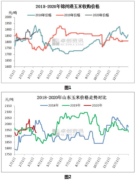 热点聚焦玉米价格冰火两重天农户售粮是关键