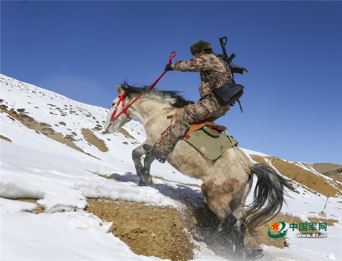 25海拔4600米军马训练正当时