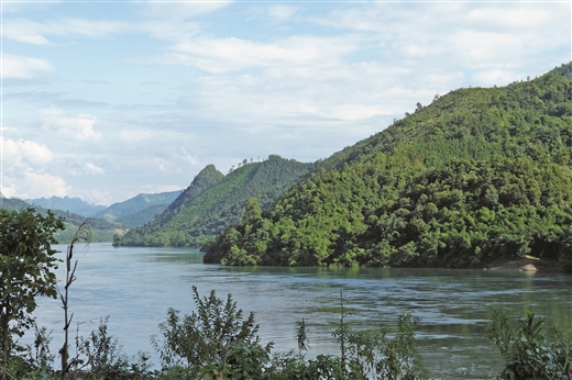 退耕还林后,东兰县的红水河流域山清水秀