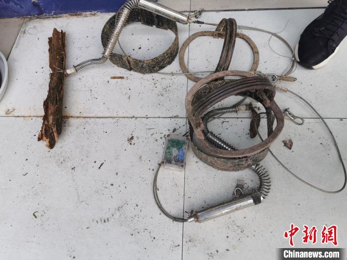 温州破获非法猎杀国家保护动物案查获动物尸体61份