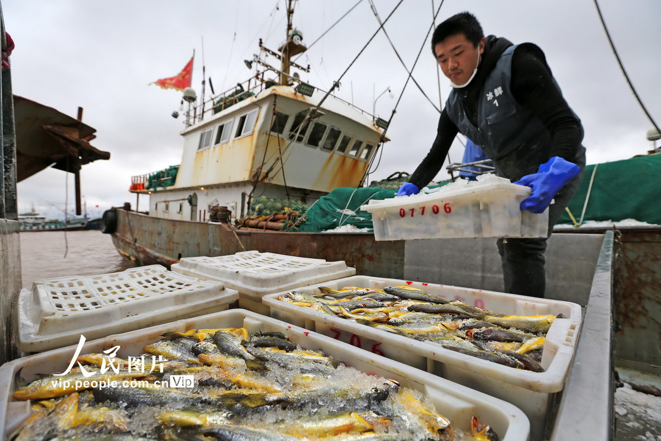 浙江舟山:海鲜销四方