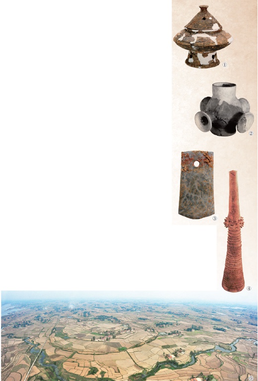 屈家岭文化 新浪网