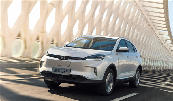 威马汽车发布全国统一保养项目和价格一万公里一保养 保养项目 保养费用 新浪科技 新浪网