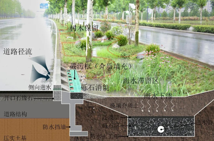 《海绵城市绿地生物滞留设施渗滤介质施工技术规范》获批省标