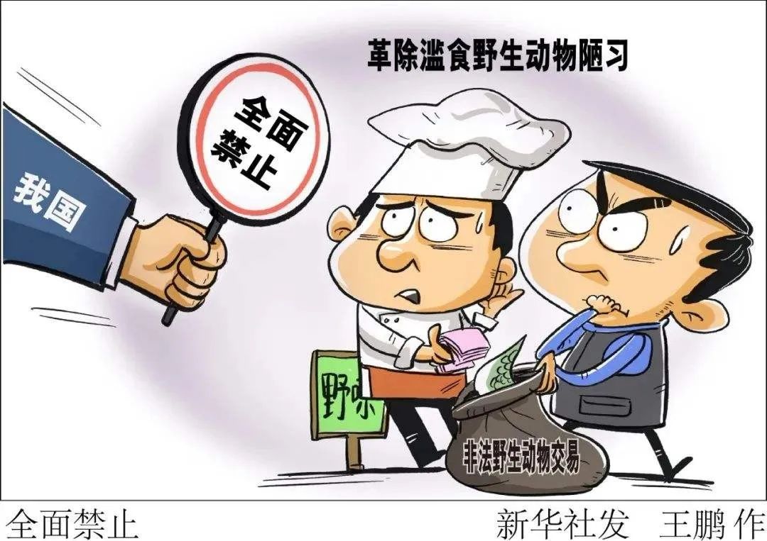 野生动物|非法狩猎|新冠肺炎_新浪新闻