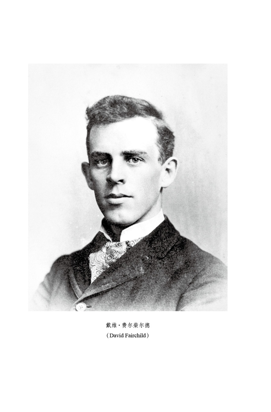 没人会想到在新世纪来临前,一位名叫戴维·费尔柴尔德的植物学家会给