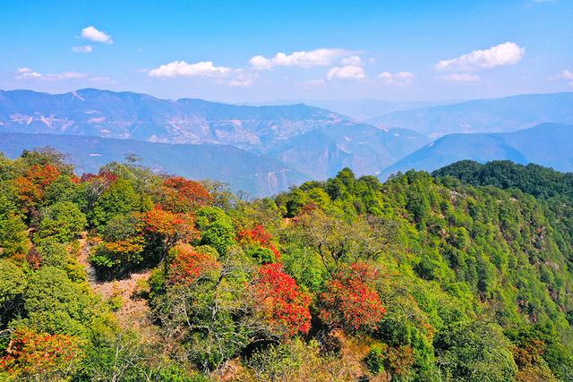昌宁天堂山:万亩杜鹃如约盛开 未负三月好春光