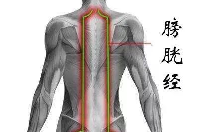 一通百通一堵百堵14经脉不通怎么办