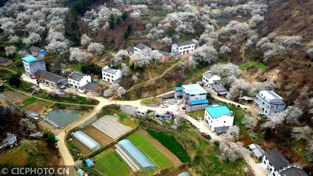 郧阳中学湖北省排名_湖北十堰五所好高中,郧阳中学一马当先,竹山、竹溪