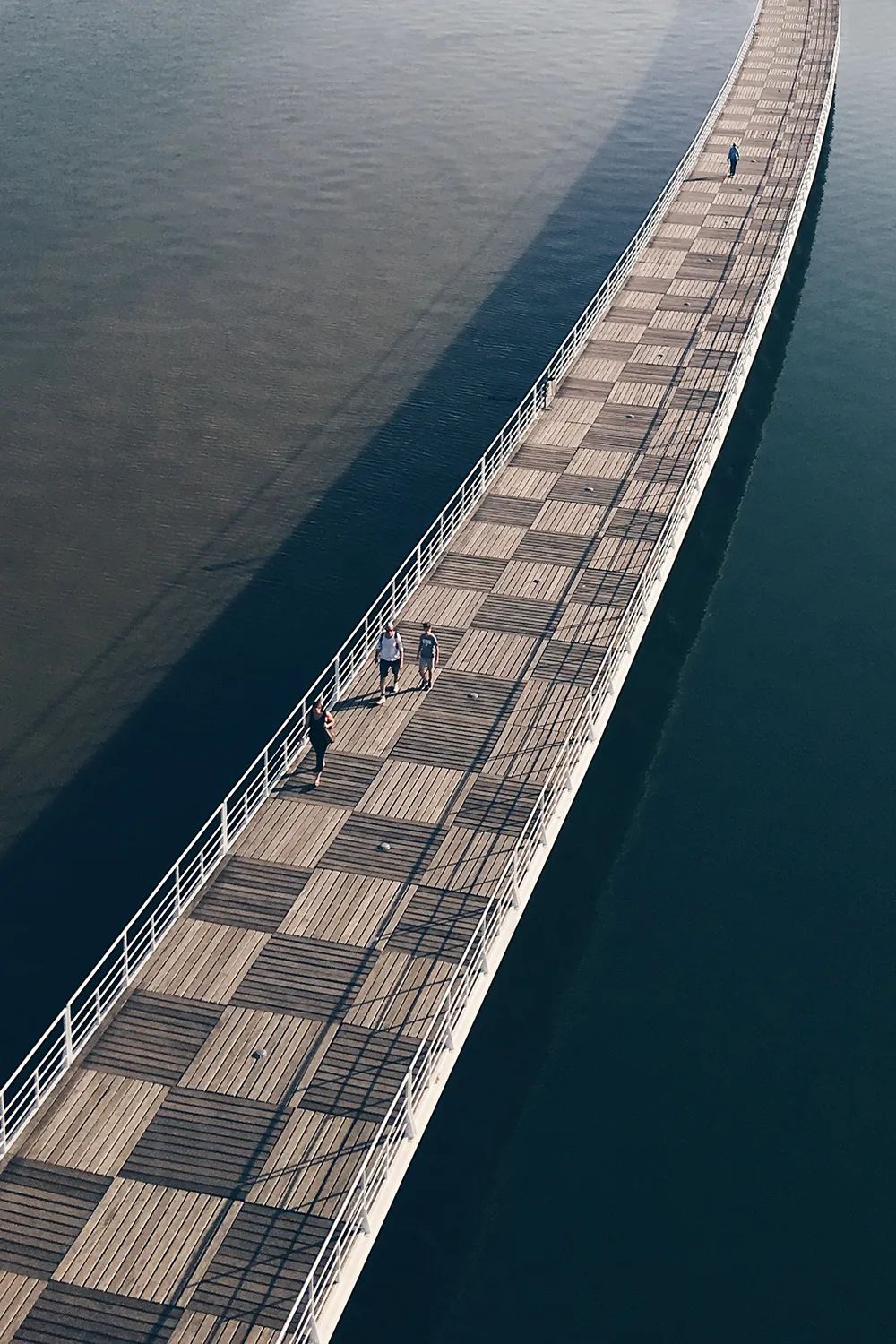 2019mpa世界手机摄影大赛获奖作品张张惊艳下载