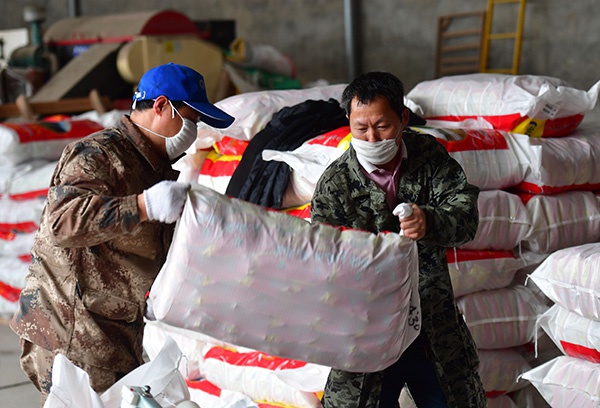 农业农村部种子企业复工率达92产能恢复至62