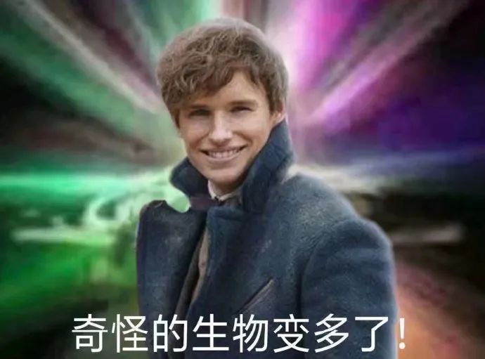 第一次在日本搭电车,要听从导演安排吗?