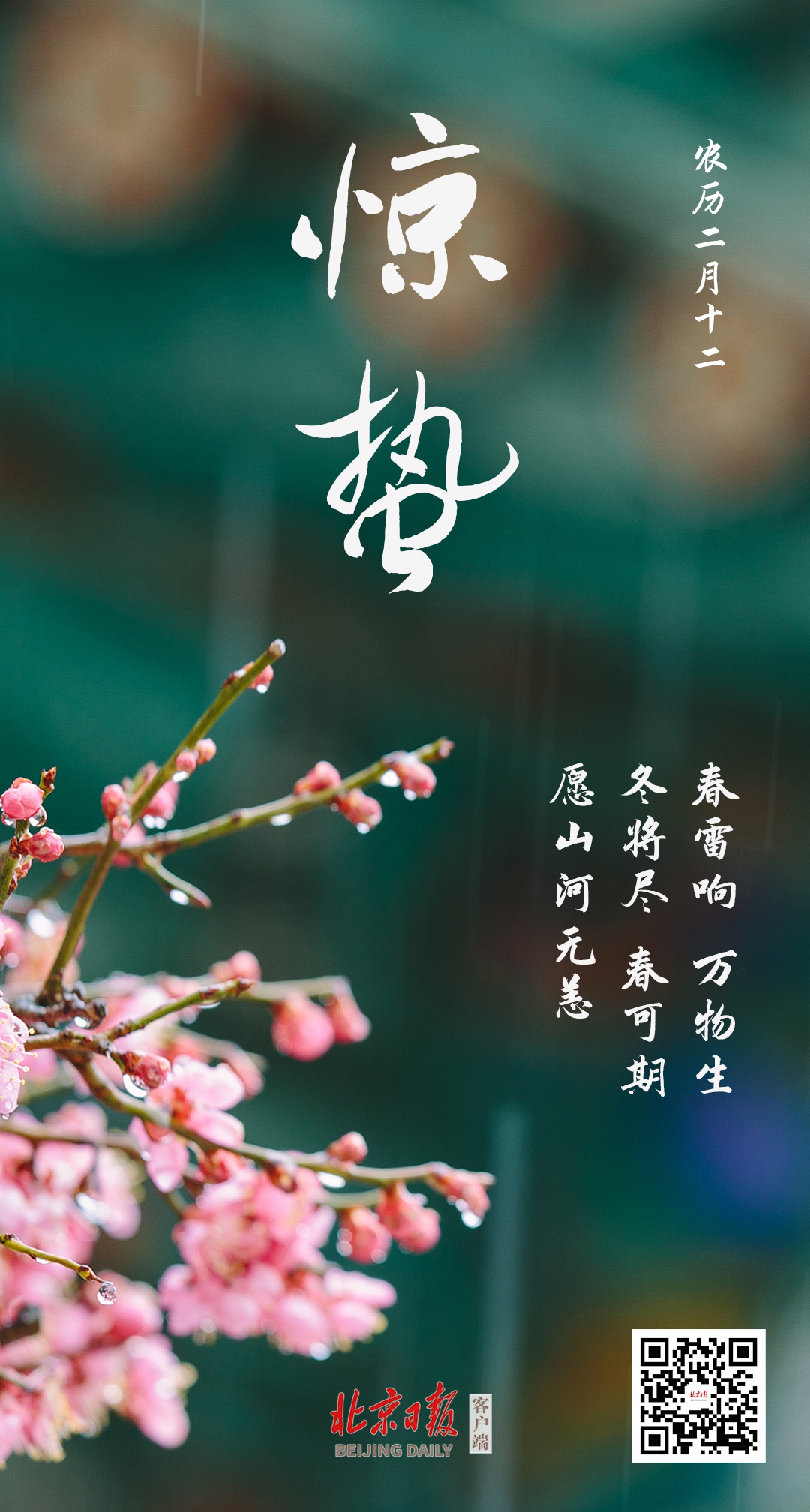 冬将尽,春可期,愿山河无恙