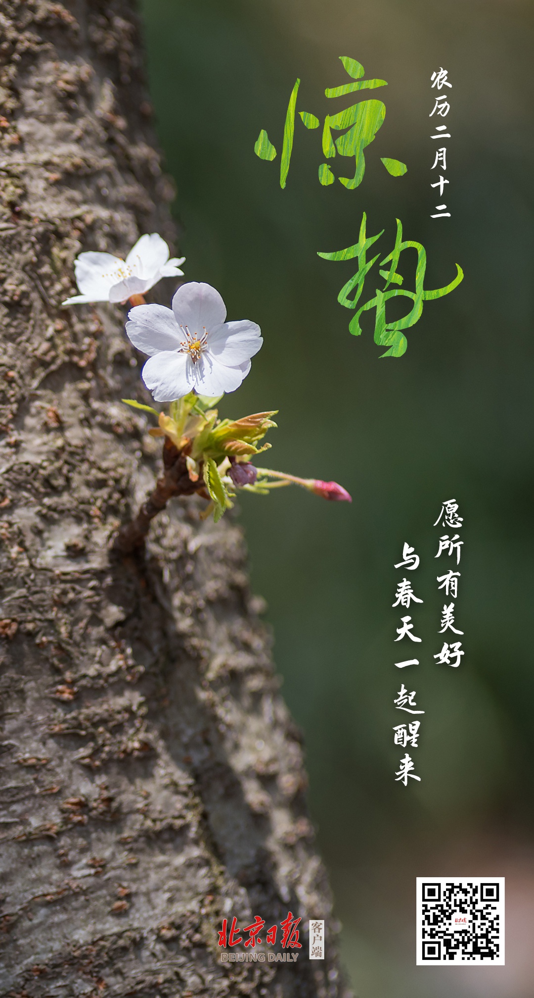 冬将尽春可期愿山河无恙