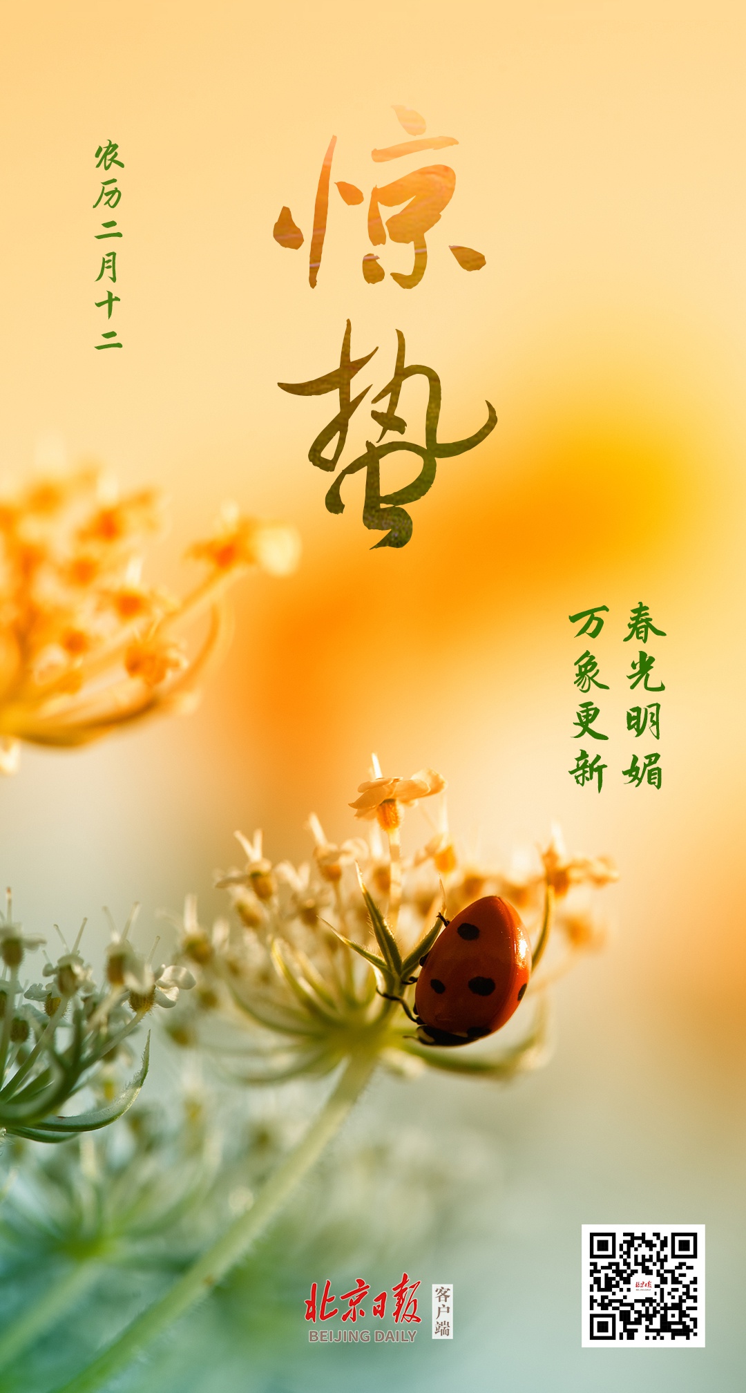 冬将尽,春可期,愿山河无恙