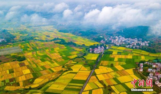 最高检：绝不允许在耕地上建所谓大棚房、生态园