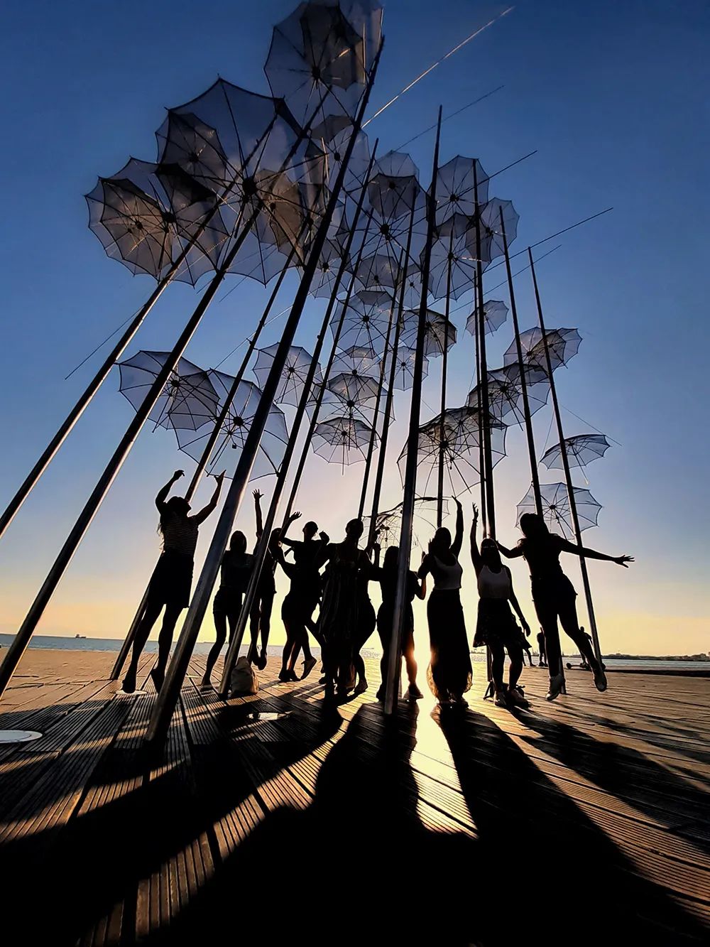 2019mpa世界手机摄影大赛获奖作品张张惊艳下载