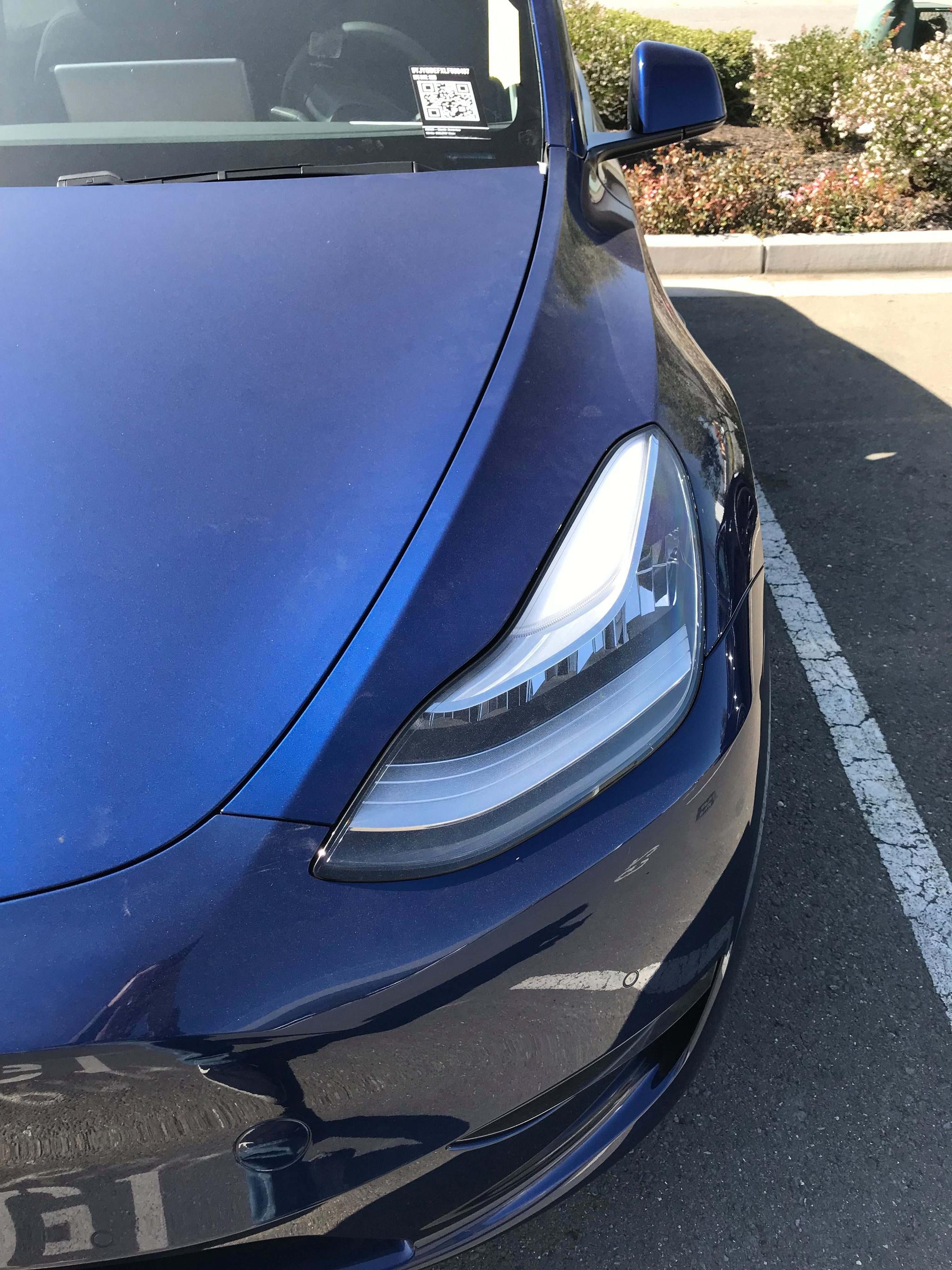 装配工艺“整体令人满意” 特斯拉Model Y谍照曝光