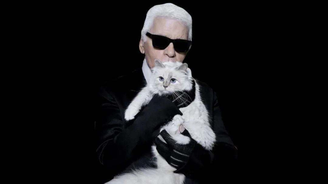 老佛爷逝世一周年,那只继承了21亿遗产的爱猫现在过得怎么样?