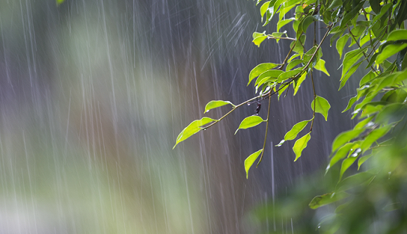 真实的下着小雨的图片图片