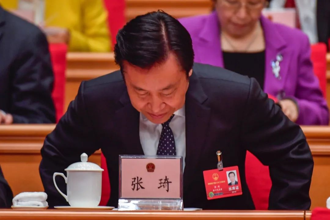 “海南虎”张琦:一位闯海者的陨落|张琦_新浪财经_新浪网