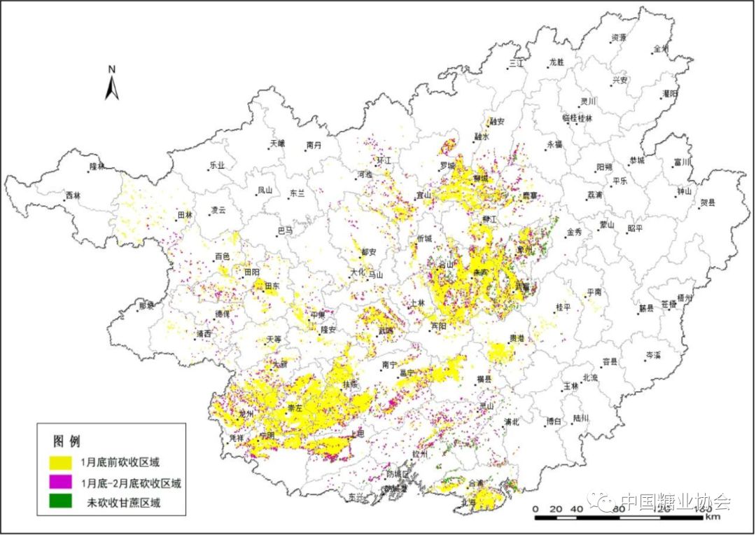 图3 2019/2020榨季广西甘蔗砍收进度遥感监测示意图