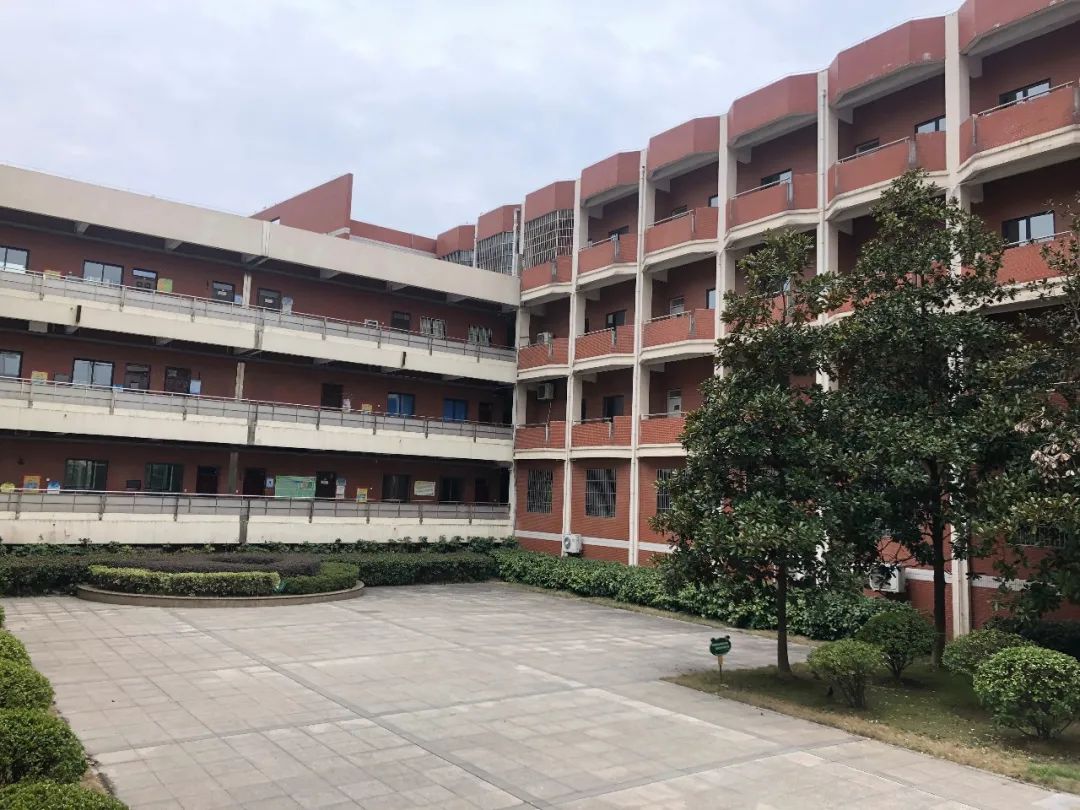 探校·"云上"春天 | 琅琊路小学分校天润城小学:盼望牵手,徜徉春光