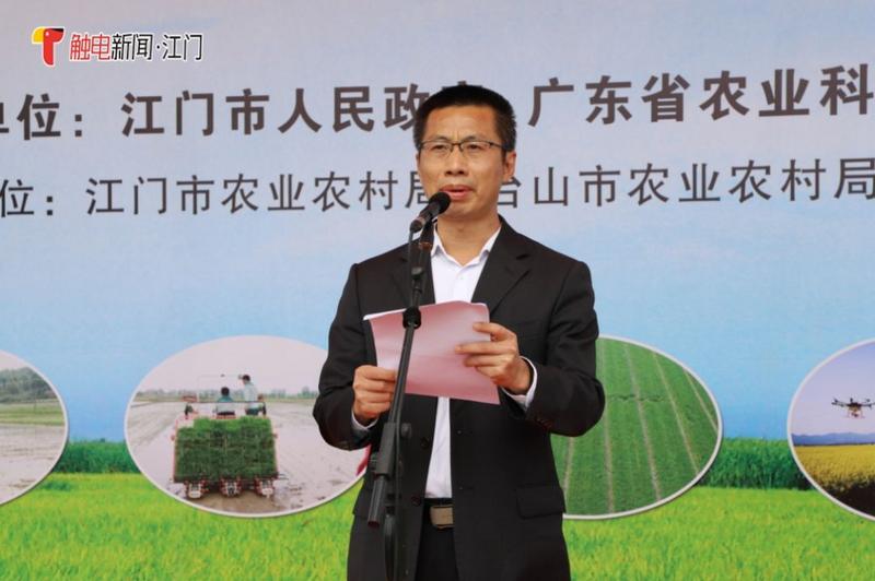 广东省农业科学院副书记吴亚玲致词现场会由江门市政府副秘书长莫劲锋