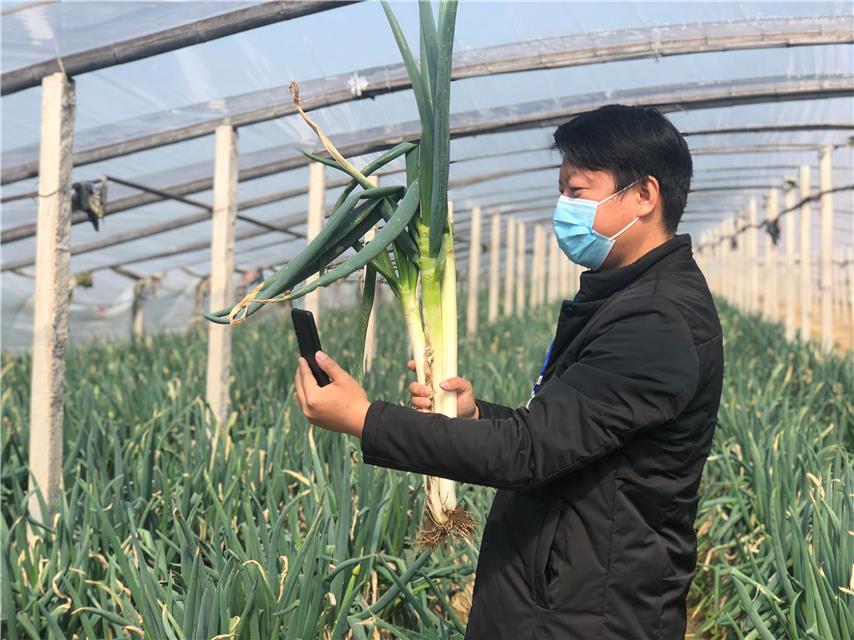 财经加点葱（加点葱加点料）《财经加试》