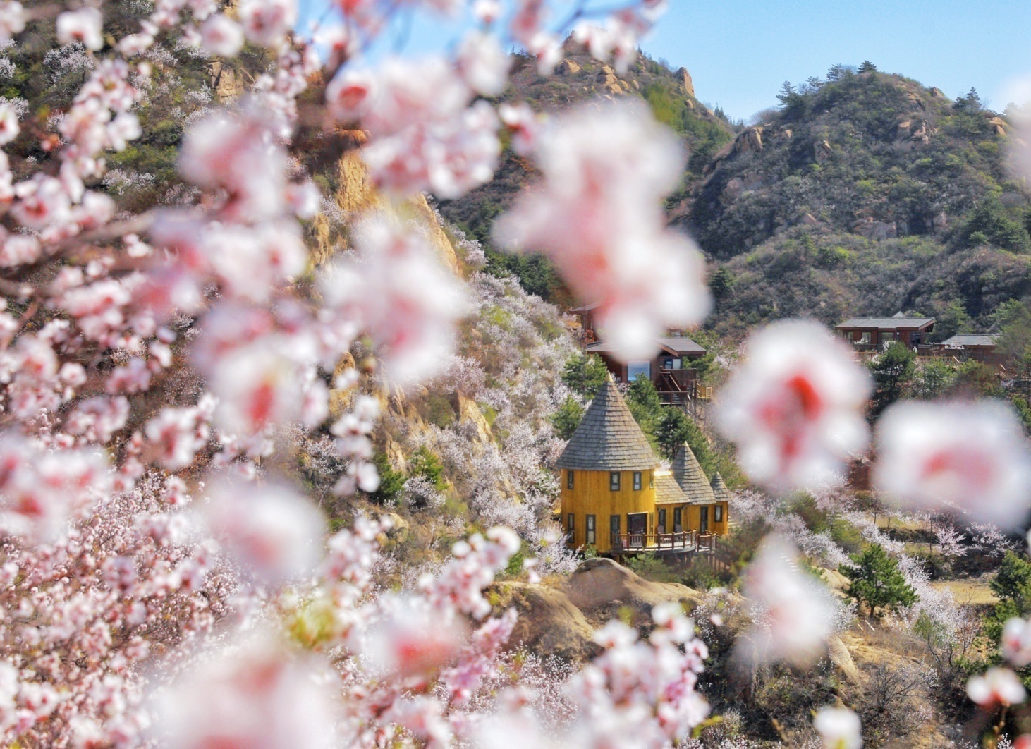 据了解,云峰山童话树屋依靠周边大面积的森林,密云水库绝佳的美景