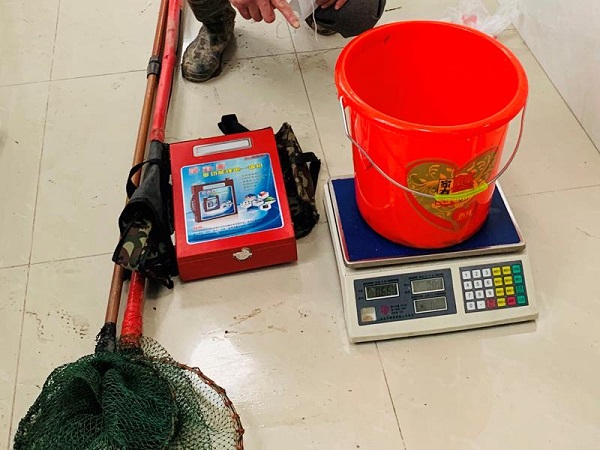 电捕鱼,被刑拘!崇明开展非法捕捞专项整治行动