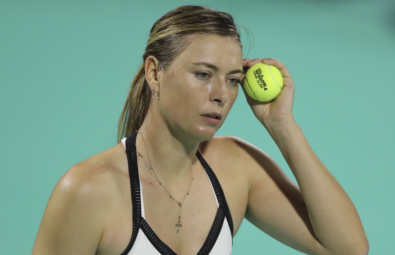 网坛美女莎拉波娃