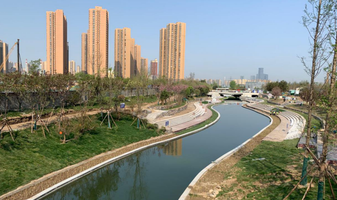 西安市长安区全域治水皂河潏河引得白鹭归