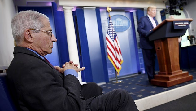 美国可否效仿瑞典搞群体免疫特朗普那会有200万人死亡