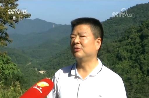 海南省林业局局长 夏斐:通过整体保护,系统修复和综合治理,使得热带