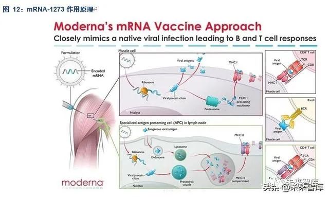 ç–«è‹—è¡Œä¸šä¸