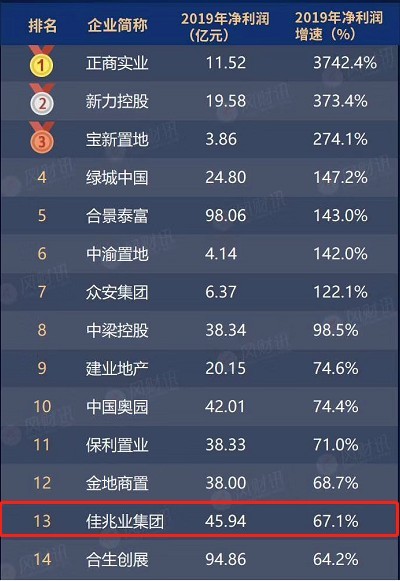 净利润率排行_锦江股份各企业上半年净利润率排行榜