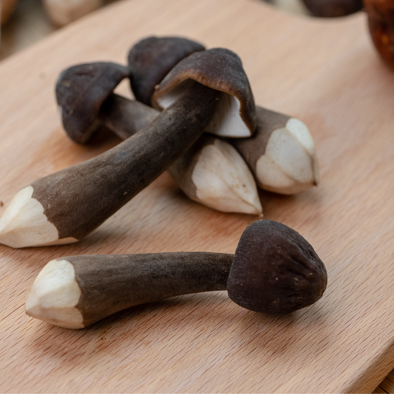 云南春日鲜菌应季食材的时差之旅