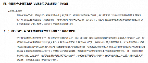 图片来源:海航科技年报